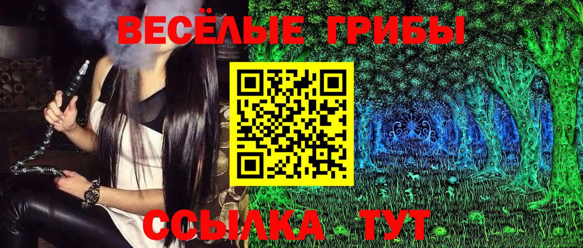 Псилоцибиновые грибы Psilocybe  Вход с VPN  Псилоцибиновые грибы прущие грибы  Балашов 