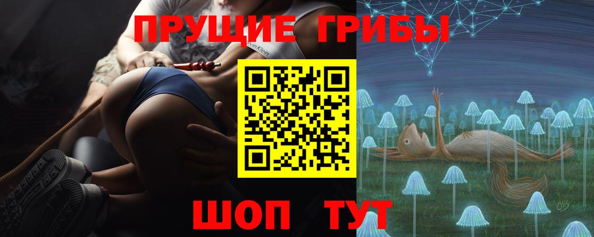 Галлюциногенные грибы Psilocybe Балашов